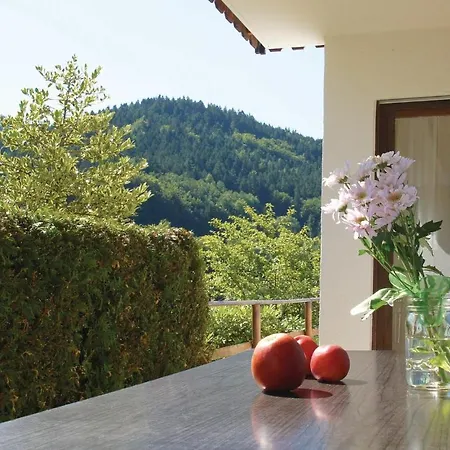 Nice In Bad Peterstal-griesb,