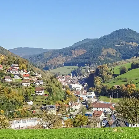 Appartement Amazing In Bad Peterstal-griesb, With 2 Bedrooms&wifi Bad Griesbach (Baden-Wurttemberg)