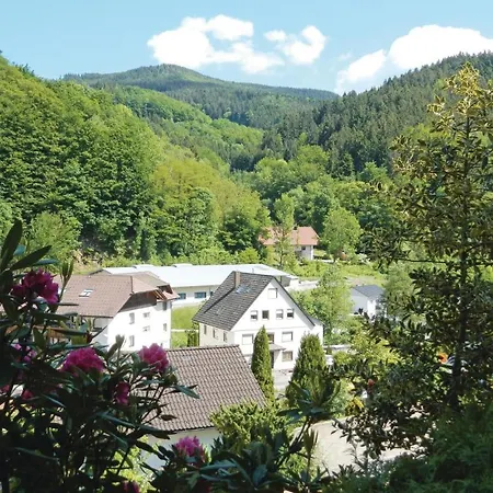 Amazing In Bad Peterstal-griesb, With 2 Bedrooms&wifi Bad Griesbach (Baden-Wurttemberg)