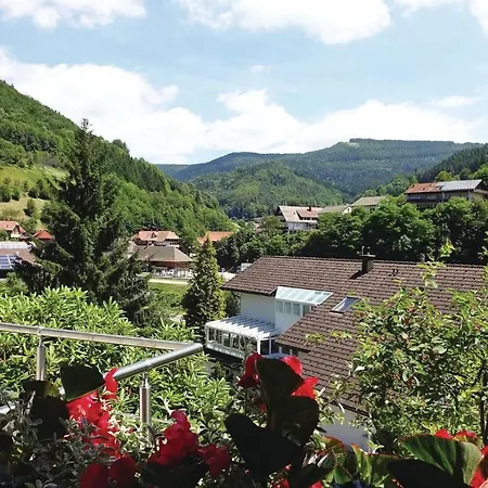 Amazing In Bad Peterstal-griesb, With 2 Bedrooms&wifi Appartement Bad Griesbach (Baden-Wurttemberg)